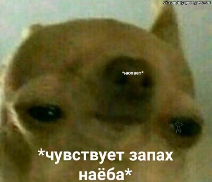 aa3c8d2447d933af3d84cb3ce6d15183.avif