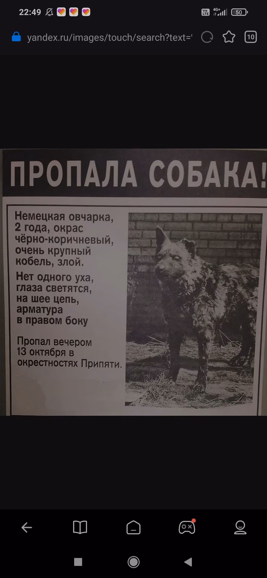 aa4f66c1178c4d80920ca78e712842bb.avif