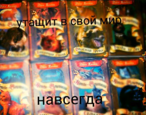 aa503c818a4a9cdb2dcbe856f6cb20f1.avif