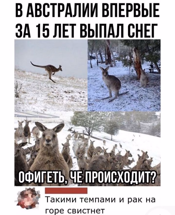 aa5657780dd3a057483b05138d3a37b3.avif