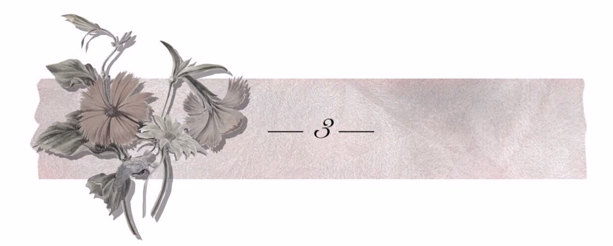 aa5fb48774abf6698a89dfc2d0959a6f.avif