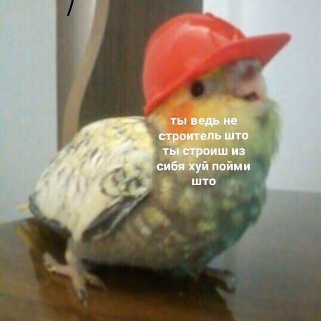 aa5fb53ed8ebd04c0a912d5bd74311b3.avif