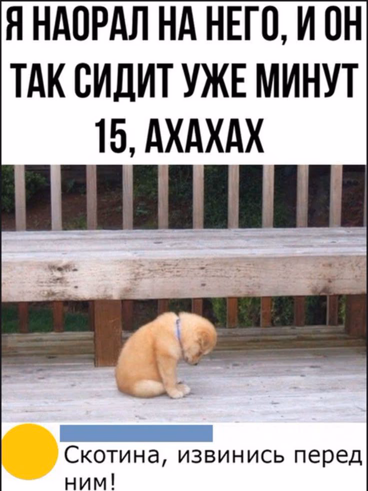 aa651260c7ee6be2e712c7856f9b6d87.avif
