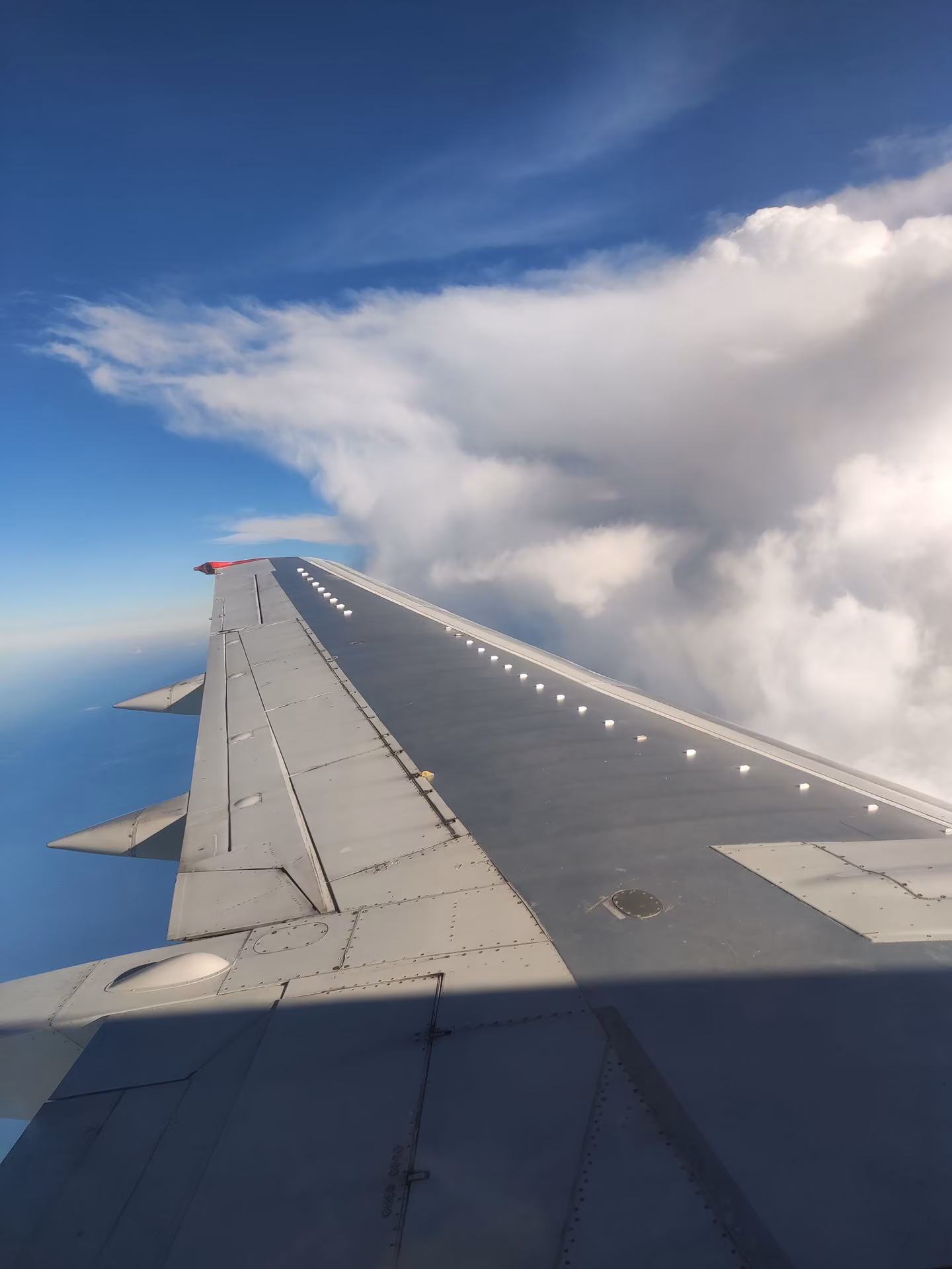 aa90e9e922b9617b9e3f9e33f9ec7810.avif