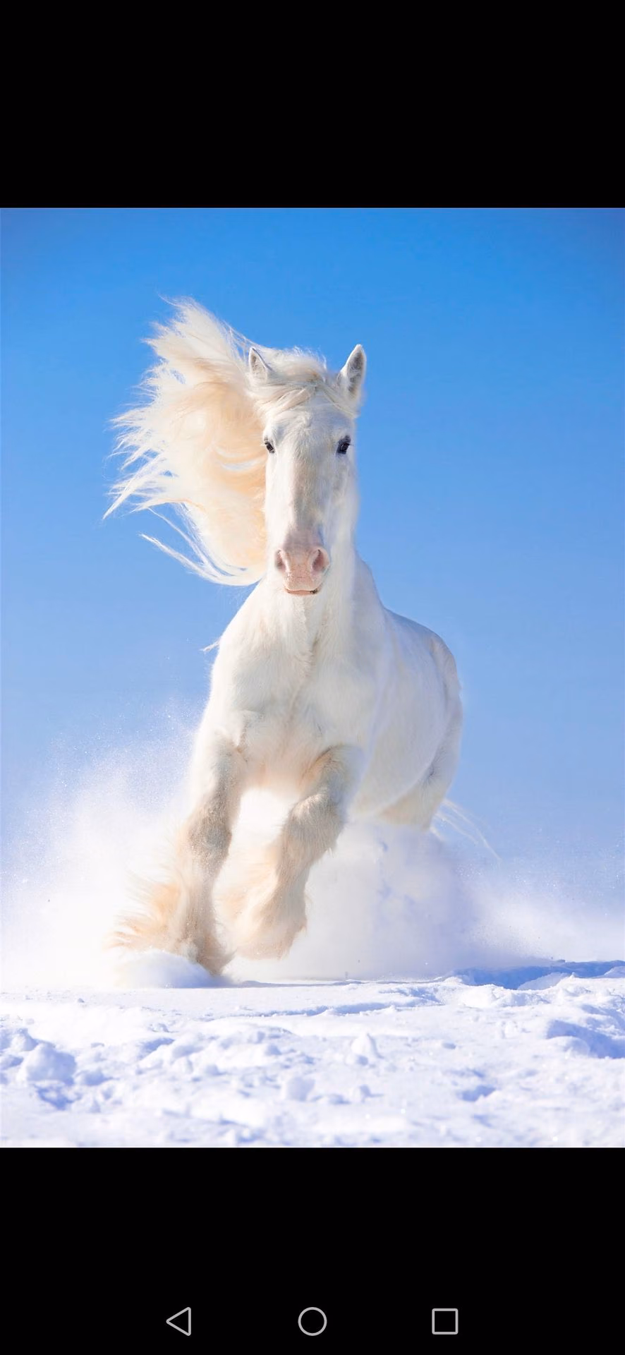 aa90f875d6f4ddb882ed8bf5ee8db5ba.jpg