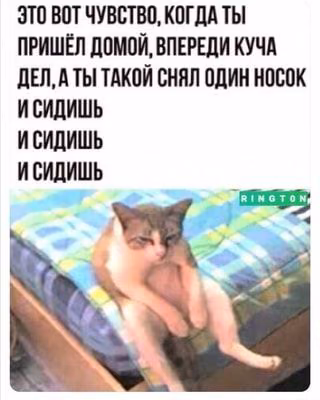 aaa6a5ef40b2a5291d87ca2c2834586d.avif