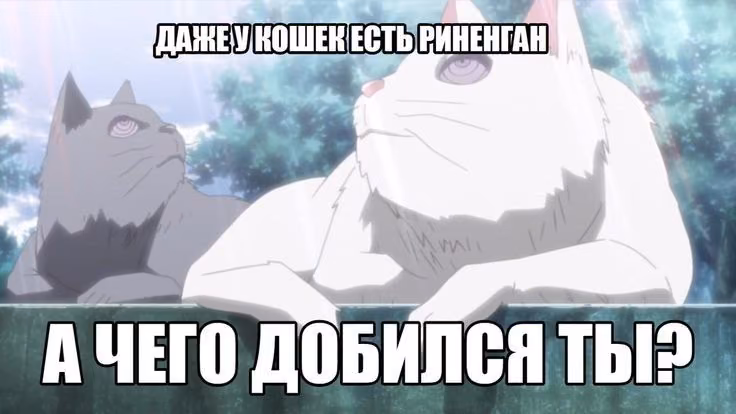 aab954eff695034e619b4820254d6cf1.avif