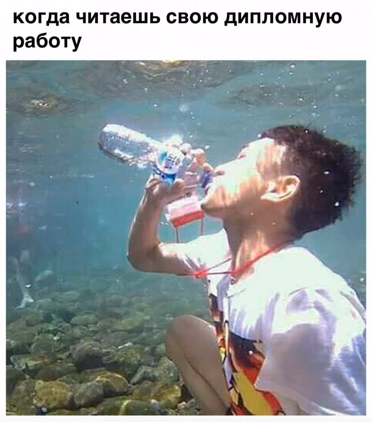 aac9c2d4eb305134e90cda5e9f50e698.avif