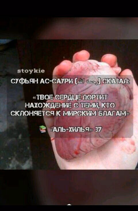aad7754ad8fdf4385eb359ef9d9de581.jpg