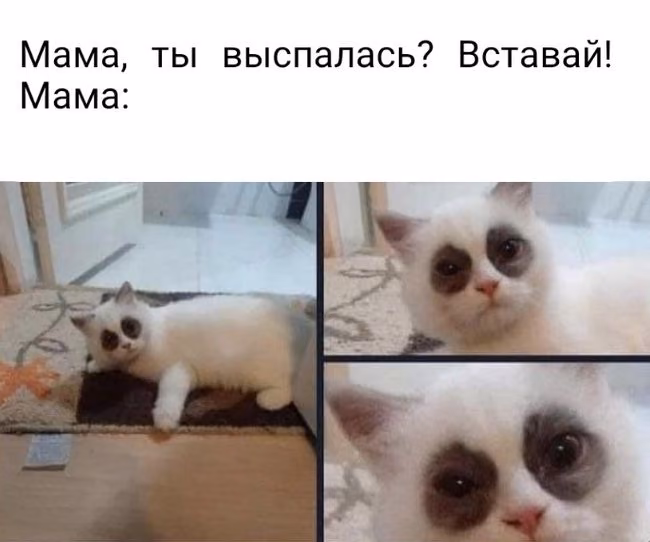 aadf4d59863c2872d410035cfe117a1e.jpg