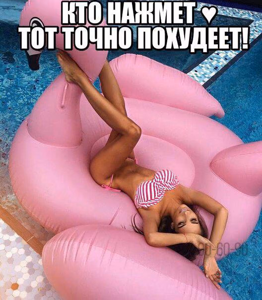 aae7c017036d95bf09217b3d872230c0.avif