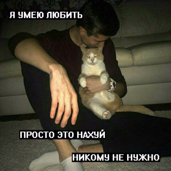 aae99de74ef6bf234e341f6c6d50c1f5.jpg