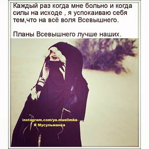 aaeed622188e035964ae4ce52d1cd11e.avif