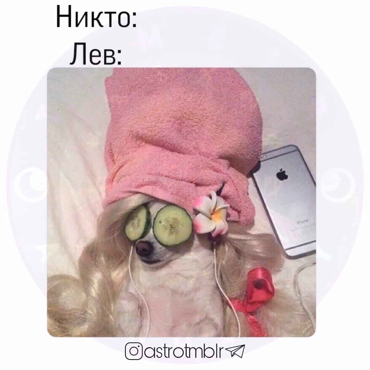 ab0a46fc443bafa49757a6ff40f09cf3.avif