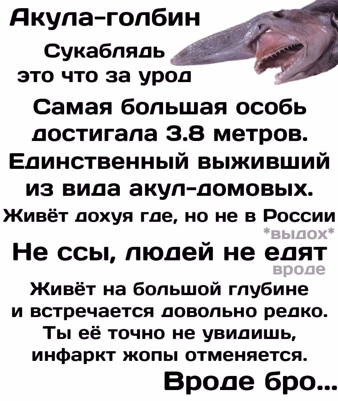 ab12e2382f4d29193c431e518f07e66f.jpg