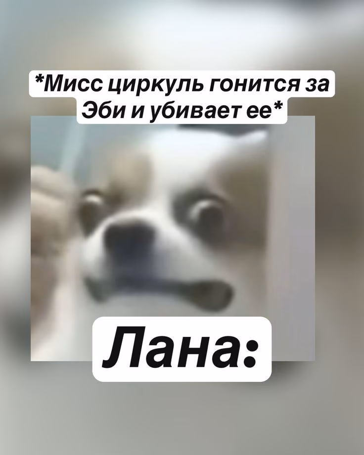 ab3e6396162f05343e23b65550e9cdfb.jpg