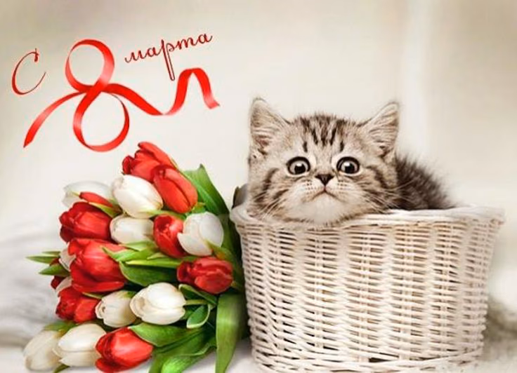 ab4bb531cb0bc443f5b31c5cba745369.avif