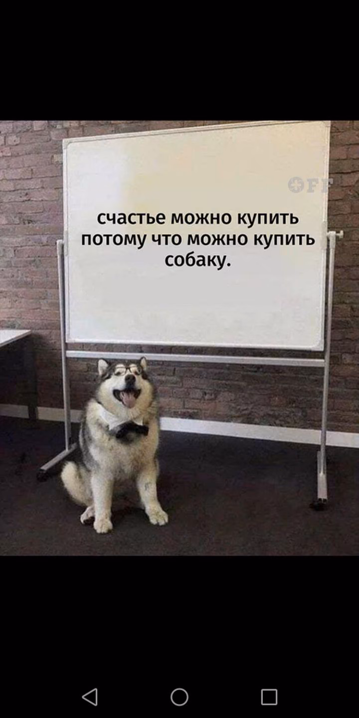 ab55e0825d77e7e80e11a550a62cc428.jpg