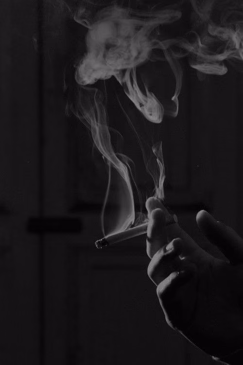ab5d5b2f5e2b08b676f2d3e0c923af87.avif