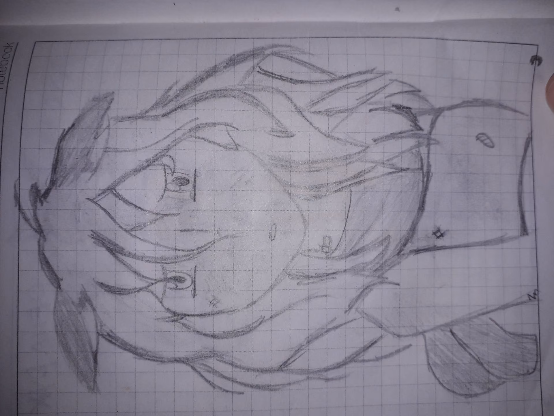 ab6ce91df91e999ae6eaf5fcd0c9e683.avif