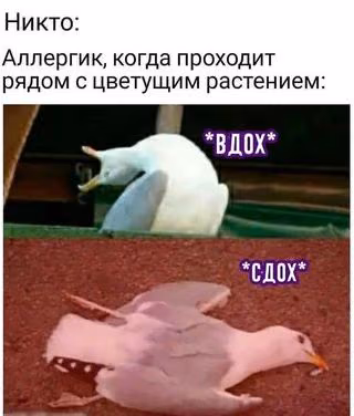 ab6f74934e925f19fc6adaed2dc58db1.jpg