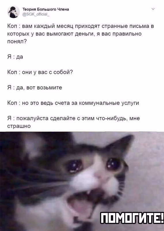 ab79acd00de94d7bf5e64a9d08eca6b8.jpg