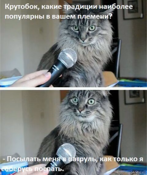 ab7be8bc6cf565808922c61f556c5f12.avif