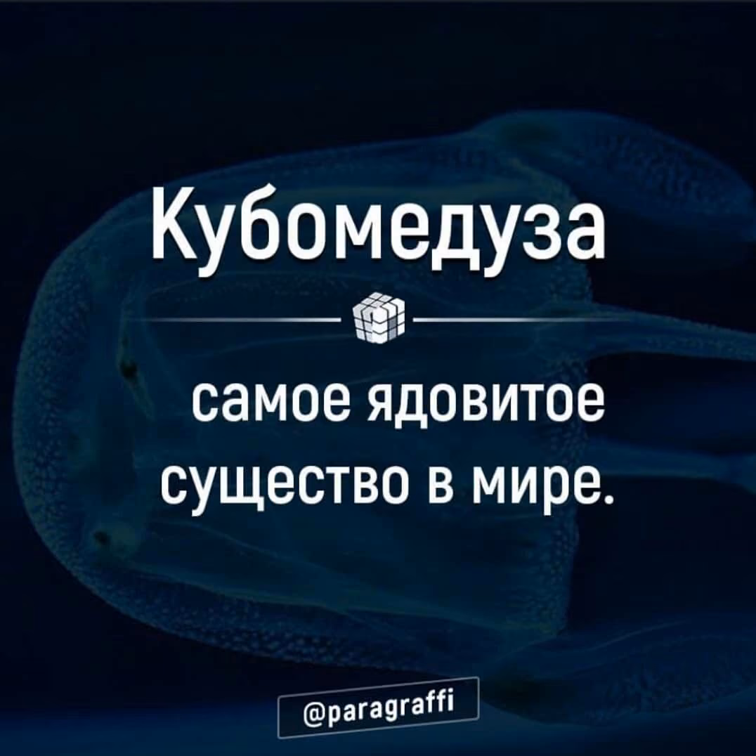 ab908dbde372f5fce549dde9e192c963.jpg