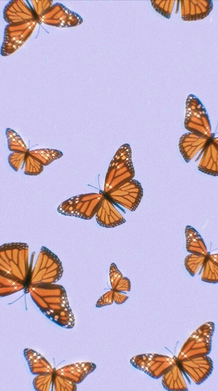 ab99d4a72a56e3b7911499559a25be42.avif