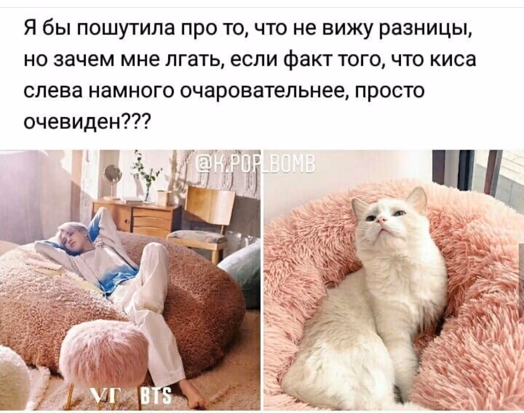 abae25544b8117abfc30b53aa590c0d0.avif