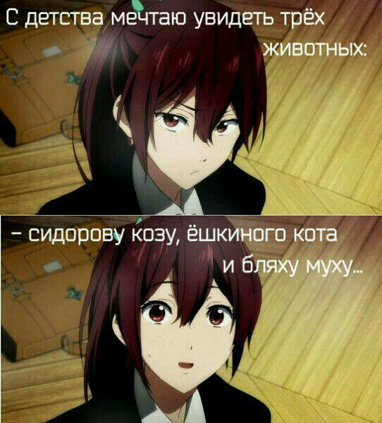 abaf8c747e9a5e8343d3f1daf9ea64b4.jpg