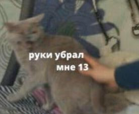 abb6c4f059db2ba60e5809473b3991d9.jpg