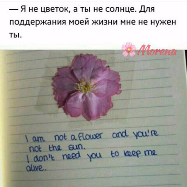 abbd64b8c198d400c553fa0c163d5db4.jpg