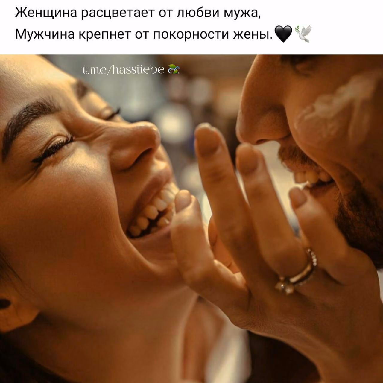abd9e5046bee28373edb2d80bd21bd79.jpg
