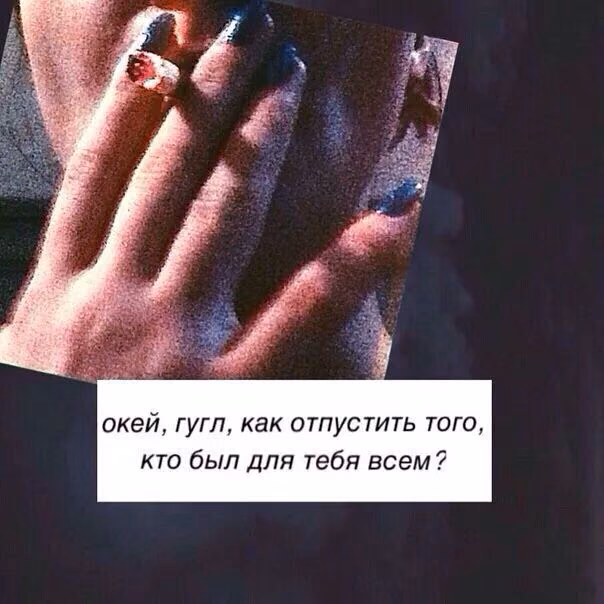 abeb19f5469189a73aa513adbe69dd26.avif