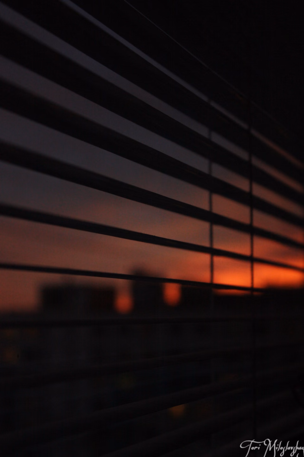 abf7e8a4926c70e5f6f48c19a2bacf3d.jpg