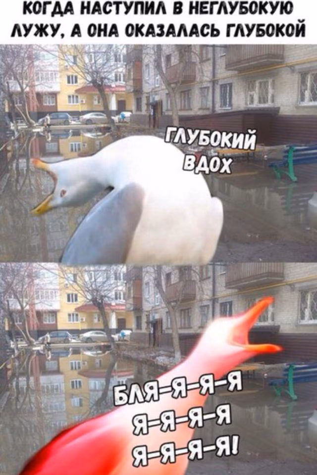 abf9322280077ce439694844c1539c42.jpg