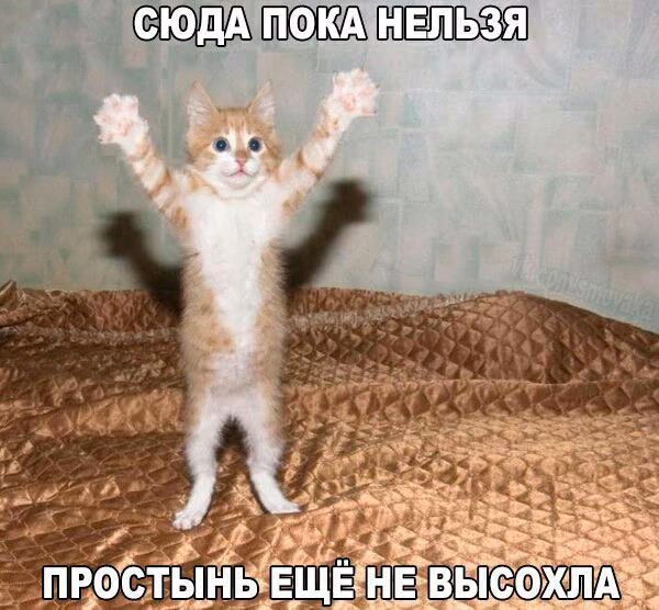 ac2ab7f40136a14ed9152f6833aaa41a.avif