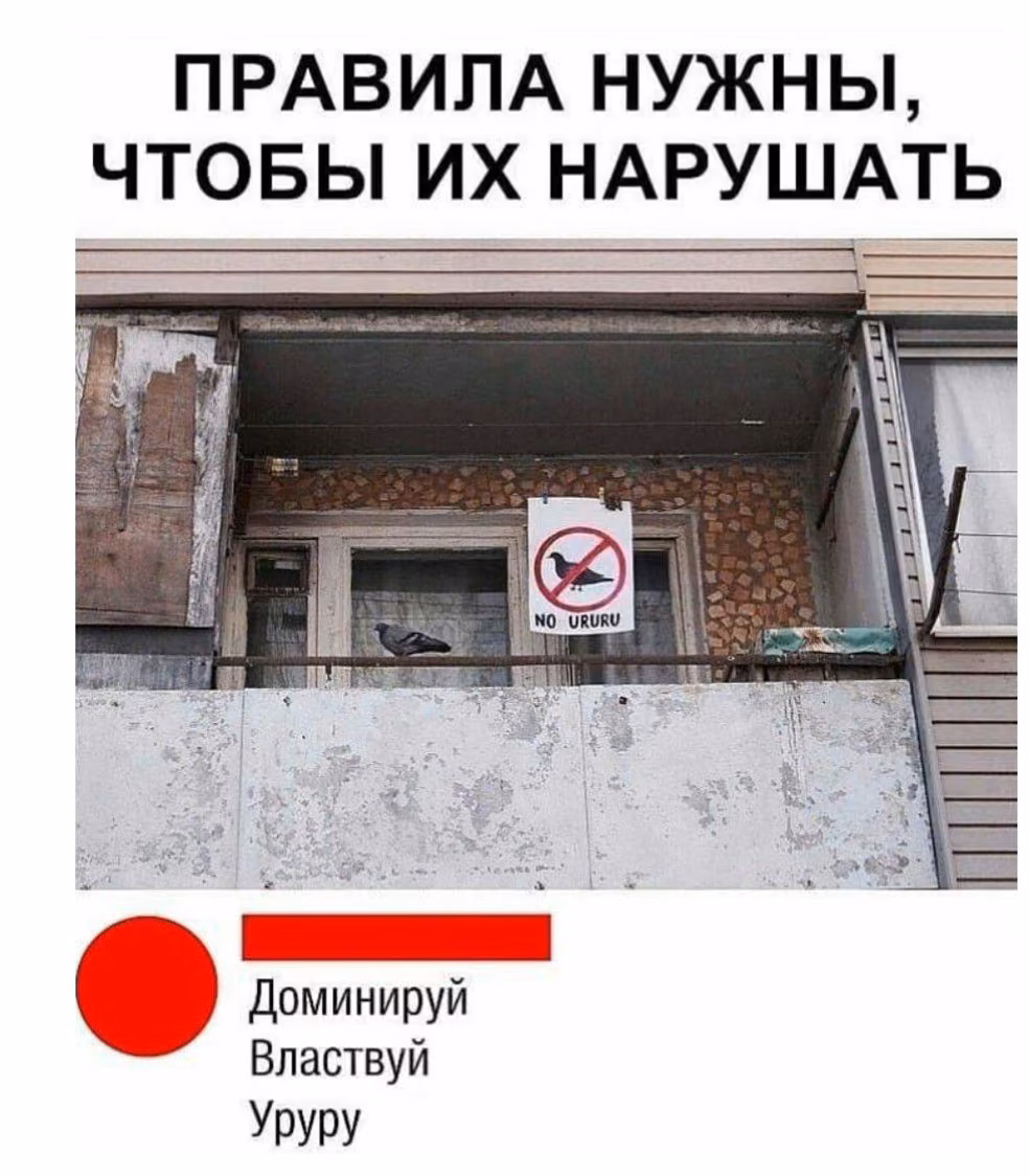 ac3c0cc2cb644c6b29930f22458ef62a.avif