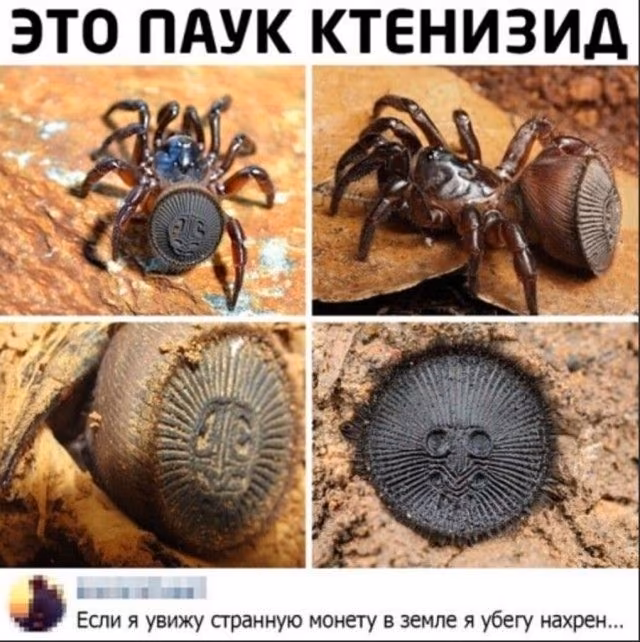 ac3c939d0383edfad9b2bba35f8e33b7.avif