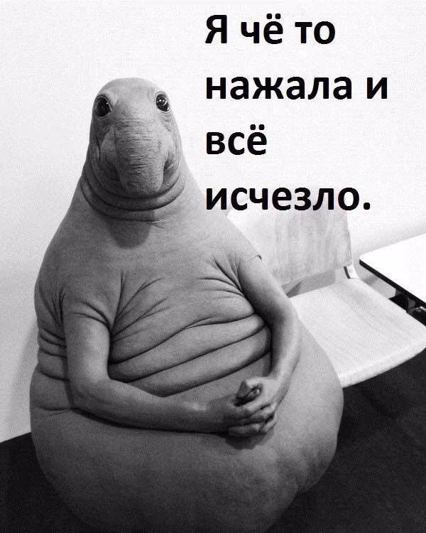 ac59aeb3b6e1840ebd3b2264f7d75265.avif