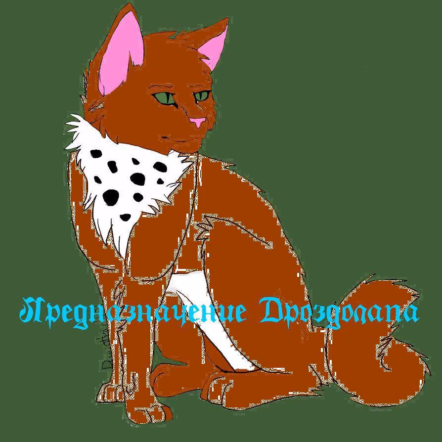 ac5a983106e9d98a5ce323c1583852ee.jpg