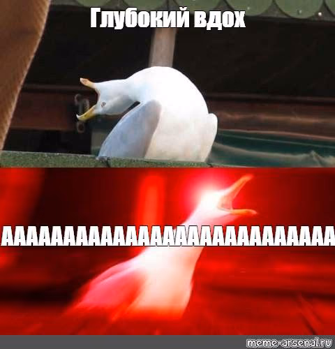 ac5b4b3d8cc82c122b4cd08895481fe2.avif