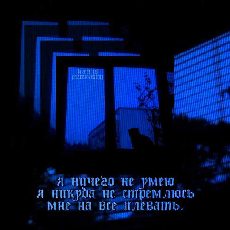 c34106c184c5235c2d6f810a59d6d305.jpg
