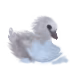 ac7fa91bc27a5270b5ecdd33c2505814.jpg
