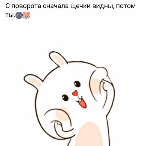 ac9da7d5020cd1ed89d95eb9b42f33cc.jpg