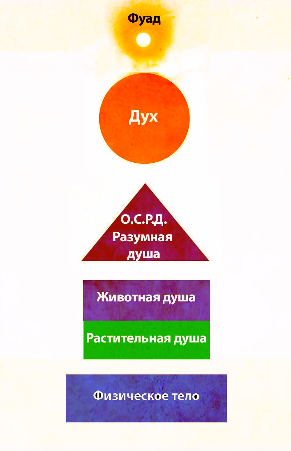 acbc7594980ecf6830f9b497e0a68b13.avif