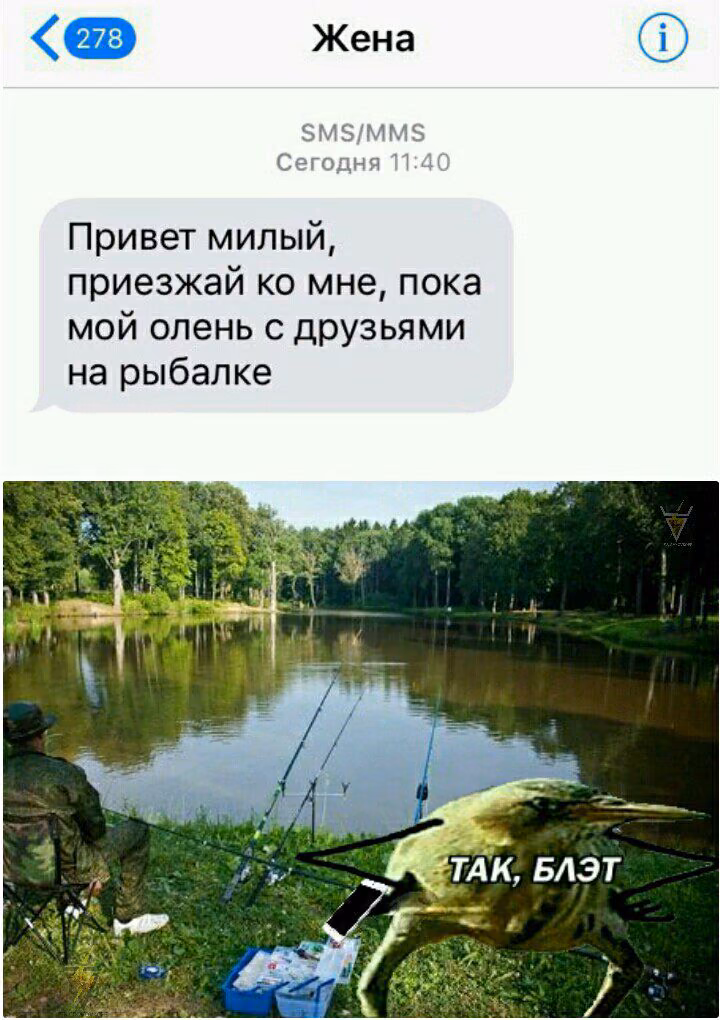 acc1f47a2a1b5b61369ee82f29d72942.avif