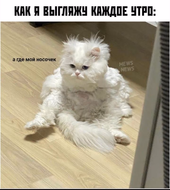 acc44c56ca06a7eb72bfcb241931b679.jpg