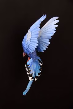 acc98c8ca26e9120206ecb0525e28391.avif